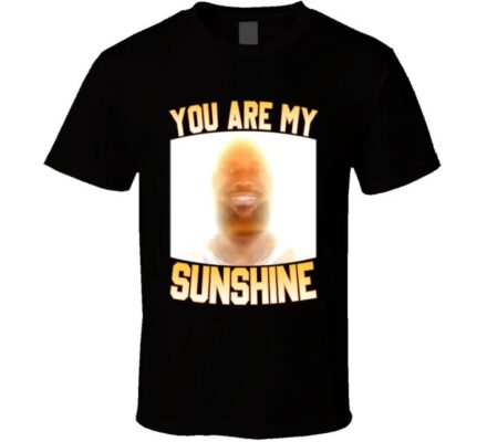 You Are My Sunshine Lebron T Shirt